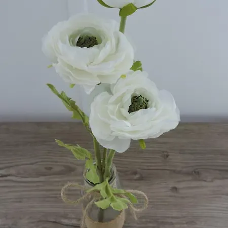 L'oree Des Hortillons Amiens
